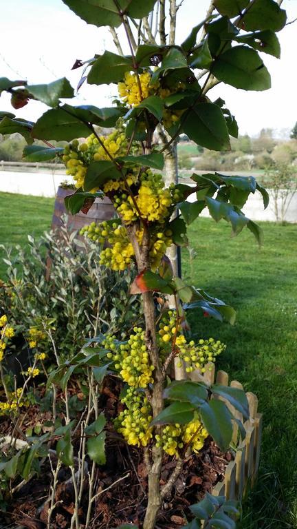 Gite Labradors De Bailly - Giverny Saint-Pierre-la-Garenne Εξωτερικό φωτογραφία