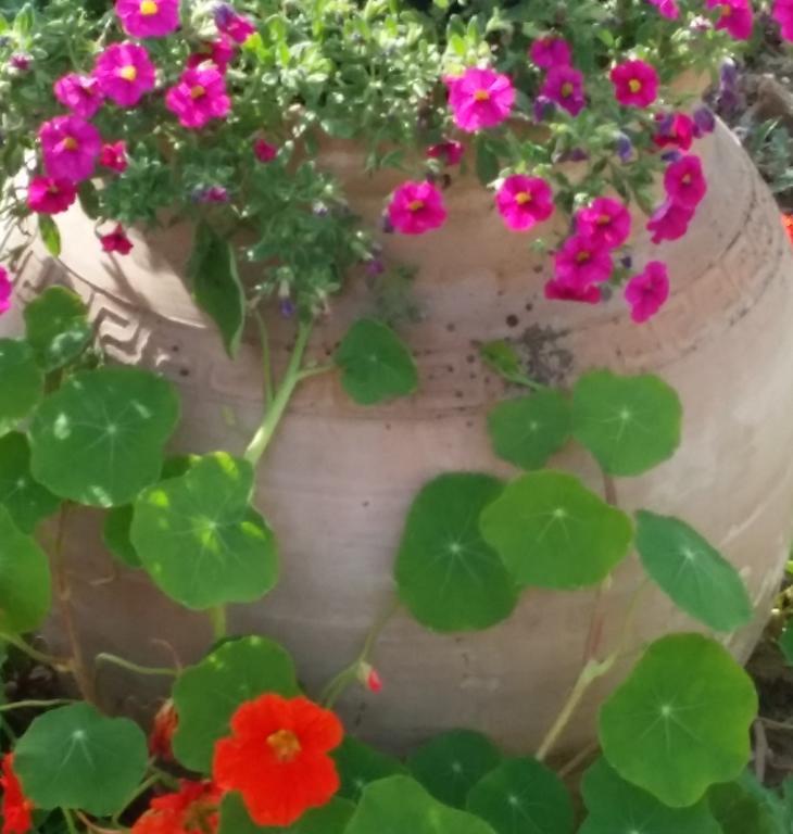 Gite Labradors De Bailly - Giverny Saint-Pierre-la-Garenne Εξωτερικό φωτογραφία
