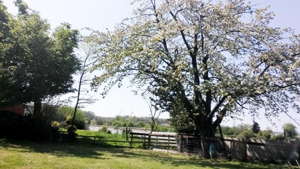 Gite Labradors De Bailly - Giverny Saint-Pierre-la-Garenne Εξωτερικό φωτογραφία